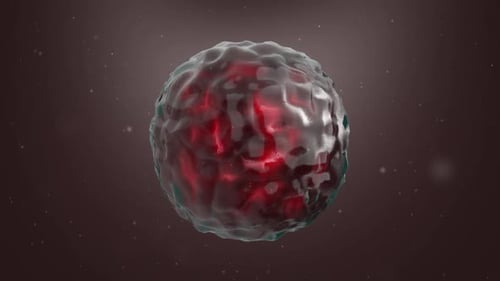 Virus