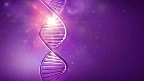 Rotating Model Of DNA Strand On A Purple Background HD