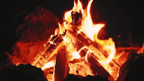 Feuer Flamme Schwelender Baum Schönes Feuer
