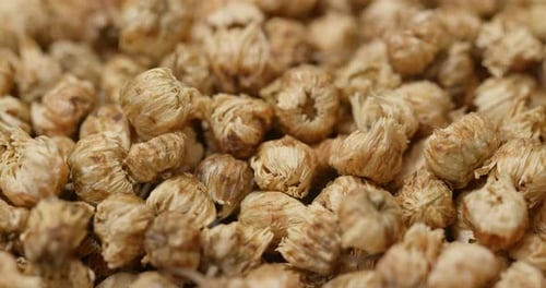 Close Up of Dried Chrysanthemum Buds, Herbal Tea