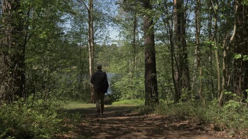 The Young Man Comes Out of the Forest To the Lake and Admires the View. The Young Man Goes
