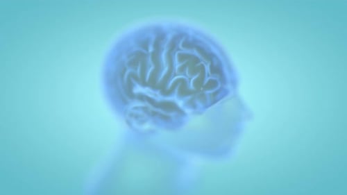 Futuristic Holographic Human Brain Rotating Scan Animation