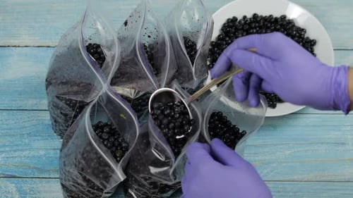 Filling Bags with Fresh Blueberries on Wooden Table