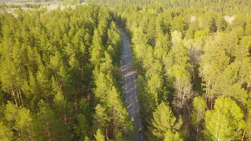 A Car On The Road