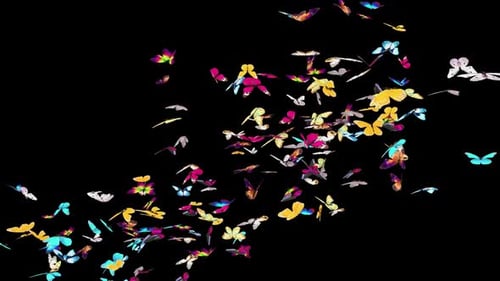 05 Schmetterling HD