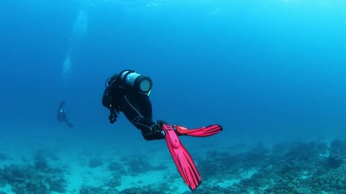 Taucher schwimmen durch tropische Gewässer