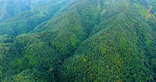 Aerial view of mountain and forest.
