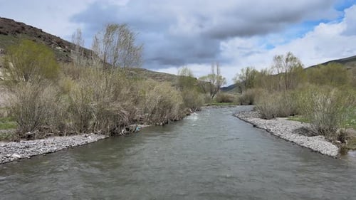 water river nature trees