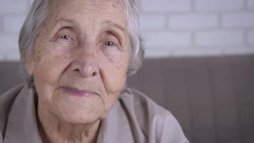 Portrait of a Senior Woman Smiling Indoors