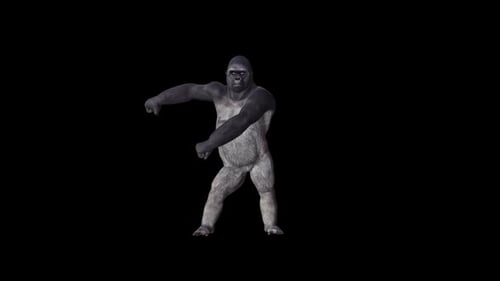 Gorilla Der Zahnseiden-Tanz