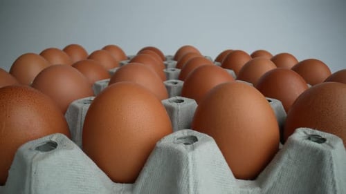 Brown Eggs in a Carton Close-Up
