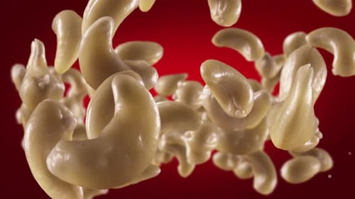 Cashew Pasta Pieces Floating on Red Background