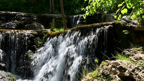 Forest Waterfall