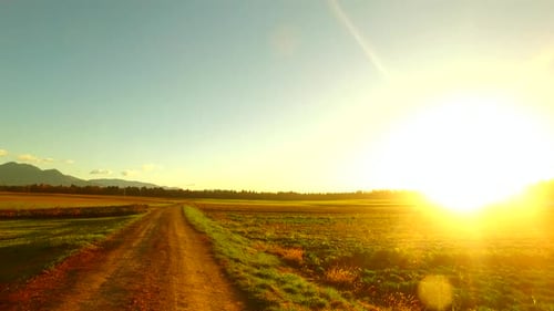 Bold Sun in the Morning Over the Fields