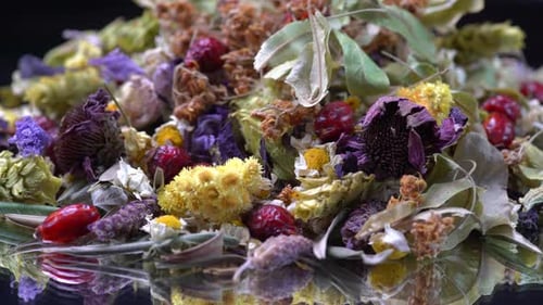 Colorful dried flower blossoms and rosehips mix