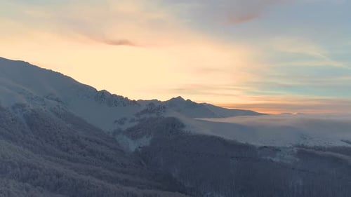Snowy Mountains and Trees at Sunset