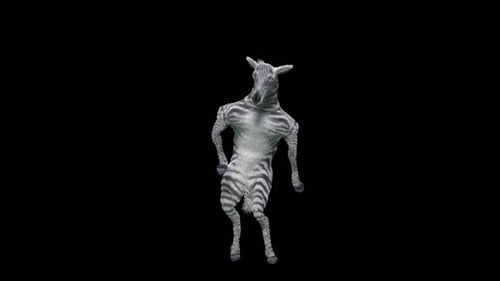 Funny Dancing Zebra Animation