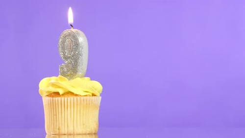 Glittery Number Nine Candle on Birthday Cupcake