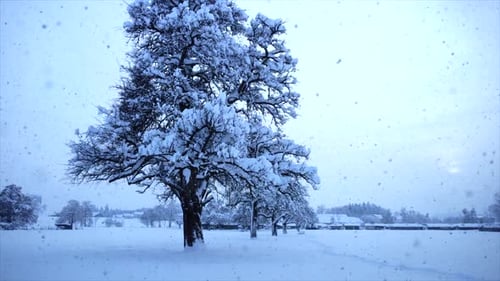 Paisaje de invierno frío y nieve