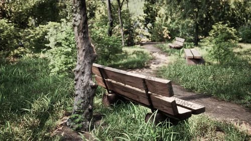 Rotating Camera View of Park Bench in Sunny Nature Scene