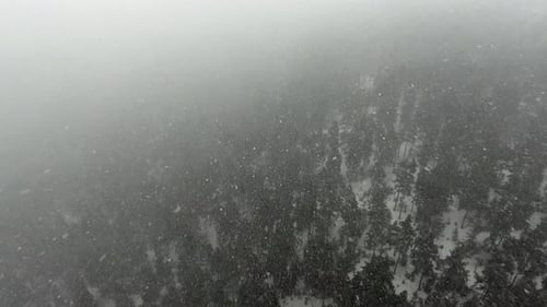 Chute de neige dans Strong Windy