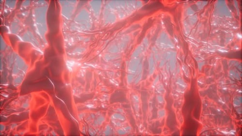 Reise durch ein Neuronenzellnetzwerk im Gehirn
