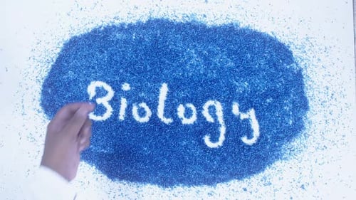 Mão indiana escreve sobre biologia azul