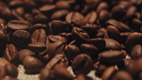 Roasted Coffee Beans on Burlap