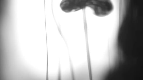 Black Ink Drops in Water