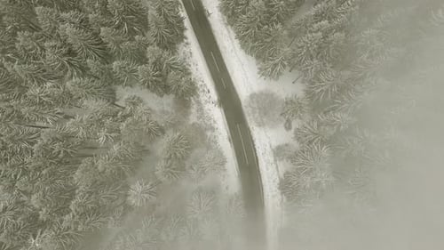Estrada pela floresta de inverno