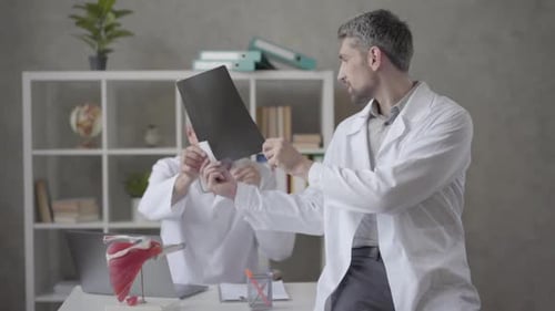 Two Male Doctors Checking X-ray in the Office of Modern Clinic