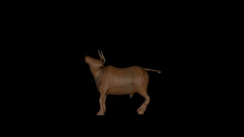 Old Wood Bull Attack Alpha-Schlaufe