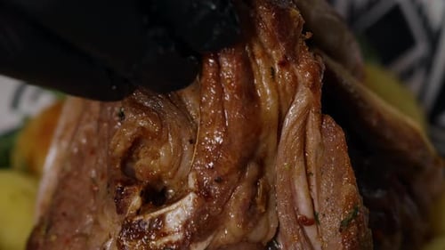 Appetizing Close Up Macro Footage Cooked Meat.