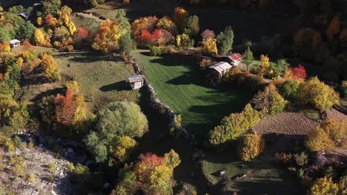 Autumn Colors