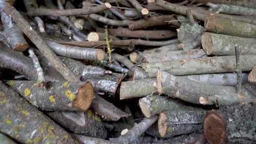 Slow motion Stack of Firewood