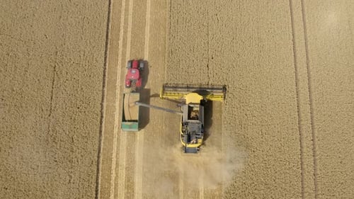 Top down view of Harvester machine working in wheat field