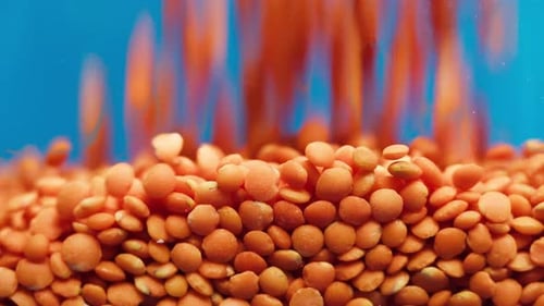 Red Lentils Cascading in Detailed Macro Shot