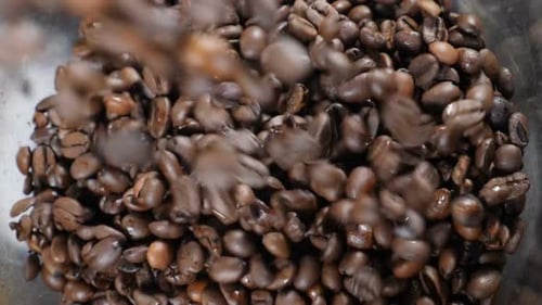 Beans of Coffee Raining in Slow Motion. Conceptual Clip of Coffee Beans, Close Up. Coffee Beans