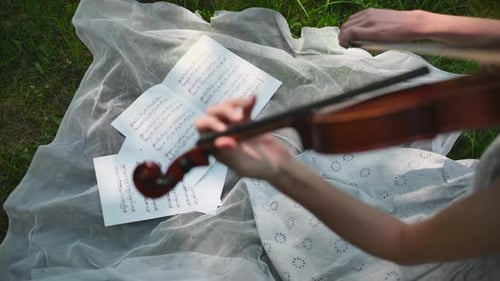 The Girl Plays with Music on the Violin in the City Park