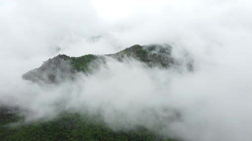 Beautiful Clouds in Mountain Forest