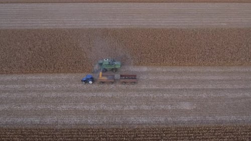 Combine Harvester and Tractor Harvesting Crops Aerial