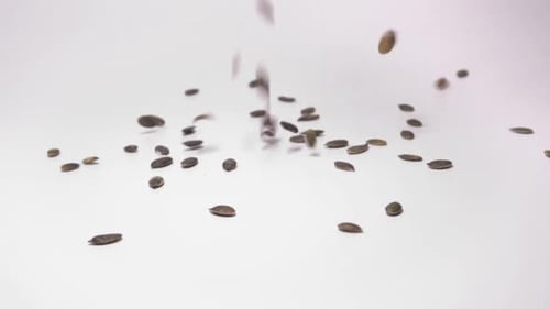 Pumpkin Seeds Falling in a Pile