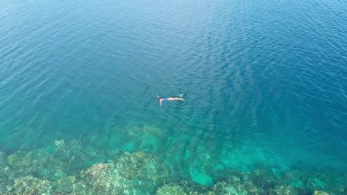 Aerial slow motion: woman snorkeling on coral reef tropical sea from above