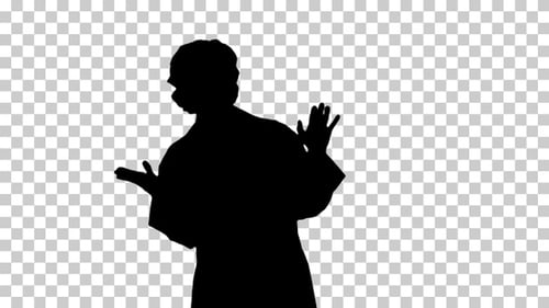 Silhouette doctor, Alpha Channel
