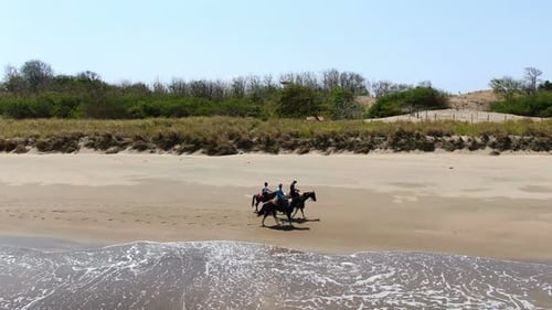 Family Riding Horses on the Seashore