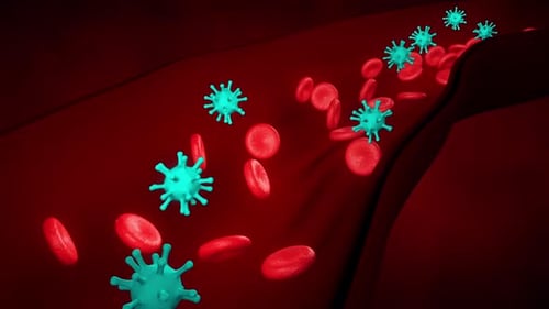 3D Animation of Viruses and Red Blood Cells Flowing in Bloodstream