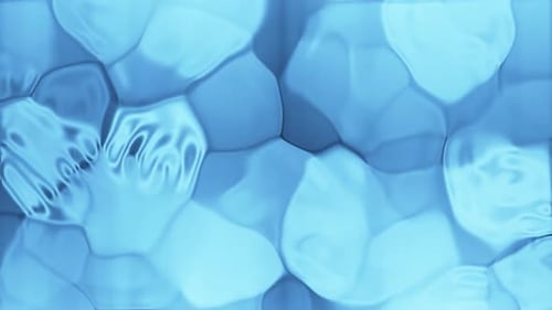 Abstract Blue Fluid Cells Background Animation