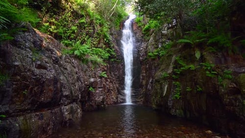 Nahaufnahme eines Wasserfalls inmitten eines Waldes
