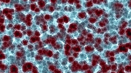 Animated Microscopic Cell Network in Abstract Style