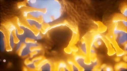 Coronavirus nCoV Respiratory Virus Concept